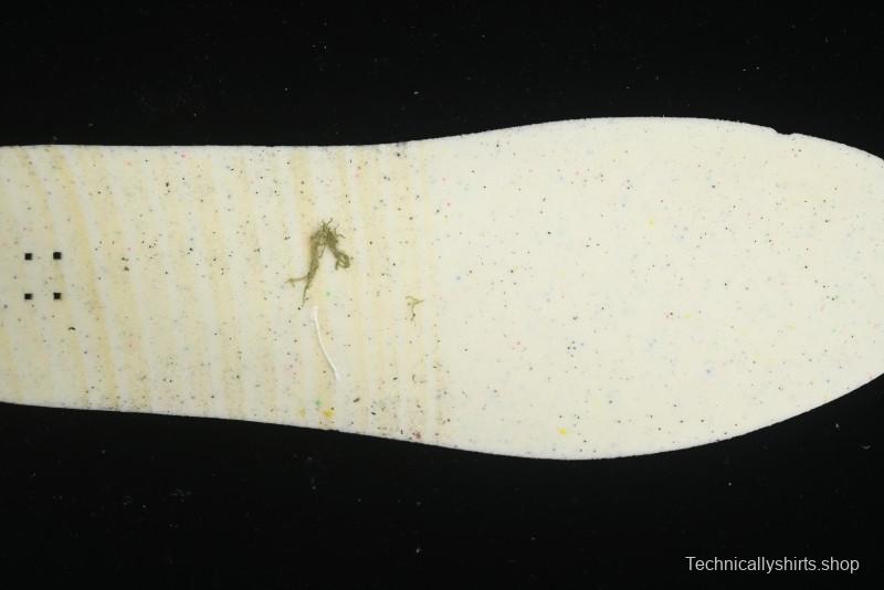 Nike SB Day One Low Top Casual Skate Shoes with Air Zoom Cushion - FN4210-001